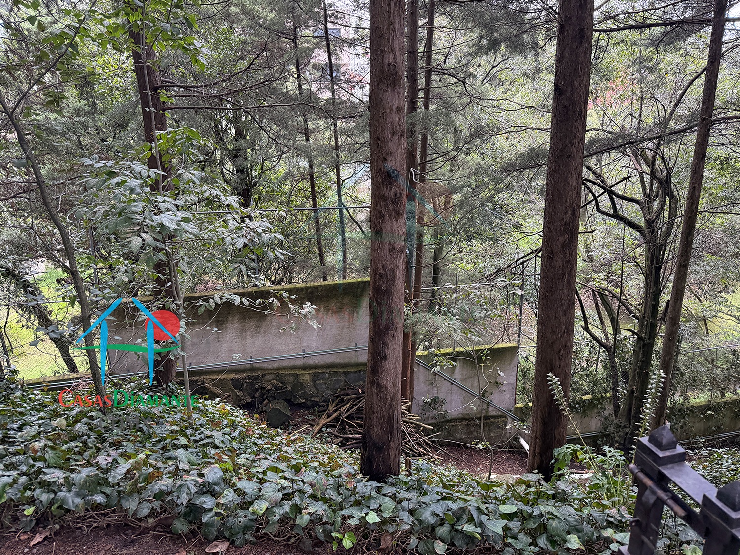 Rancho San Francisco Casa Encino - Jardín 23